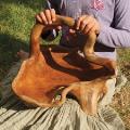 Root Wood Bowl